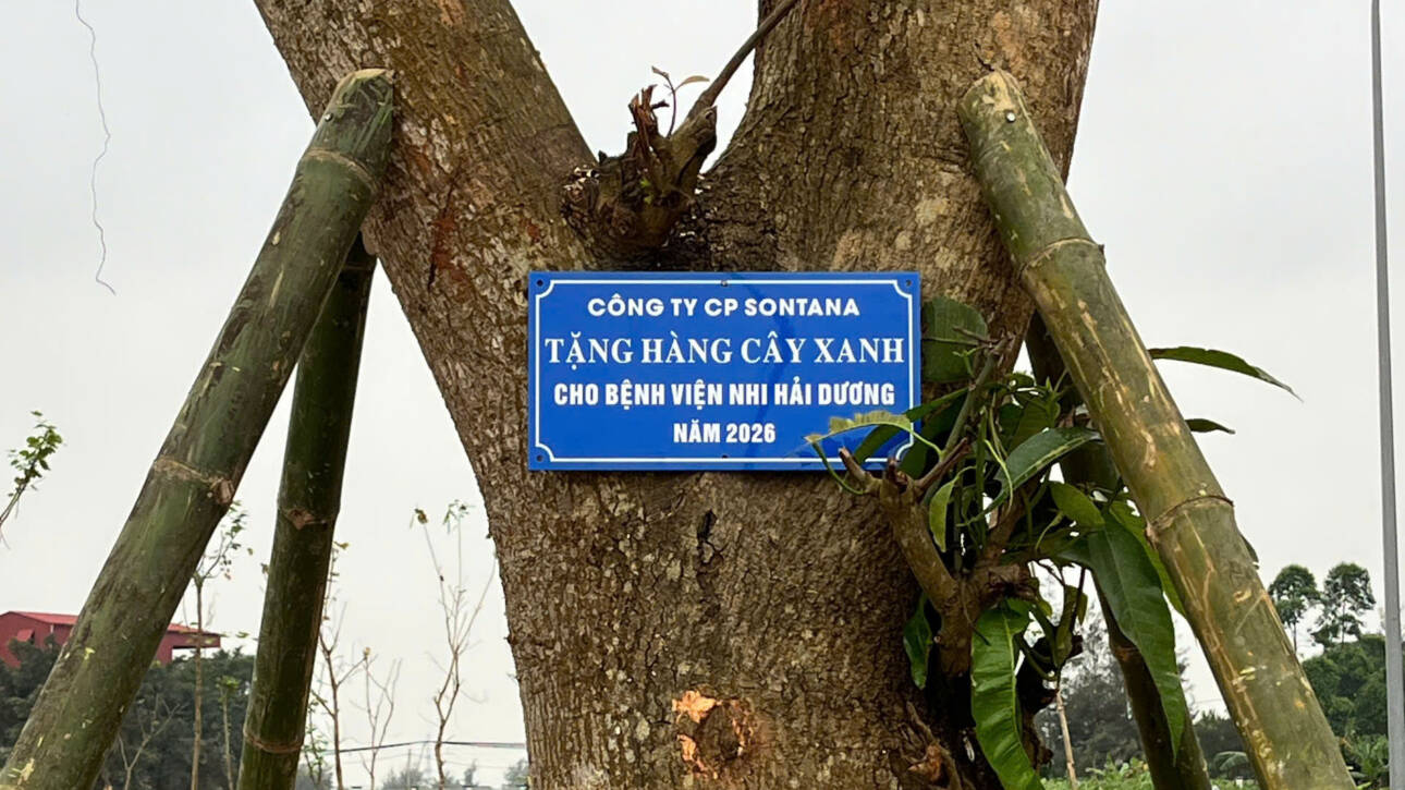 ngan-hang-cay-xanh-vien-nhi