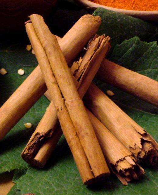 Winter-Cinnamon-862x567